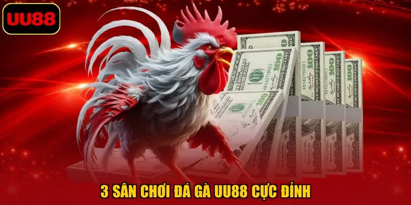 3 sân chơi đá gà UU88 cực đỉnh