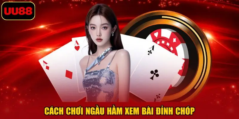 Cách chơi ngầu hầm xem bài đỉnh chóp