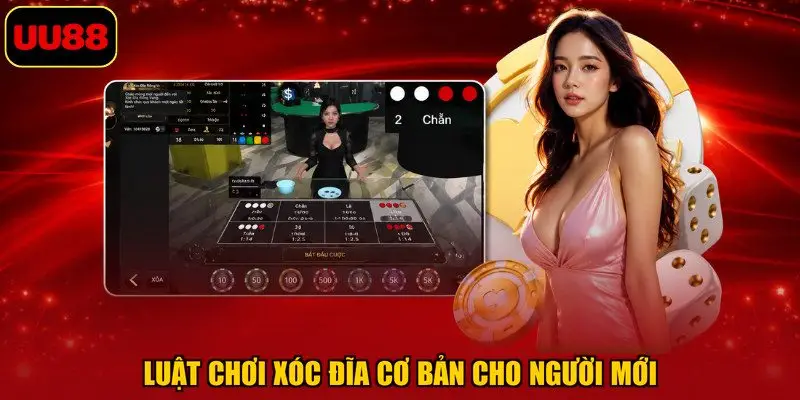 Luật chơi xóc đĩa cơ bản cho người mới