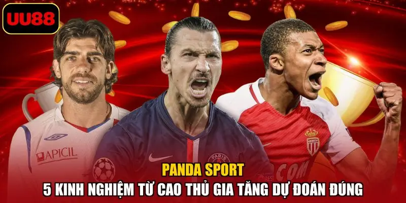 Panda Sport – 5 Kinh Nghiệm Từ Cao Thủ Gia Tăng Dự Đoán Đúng