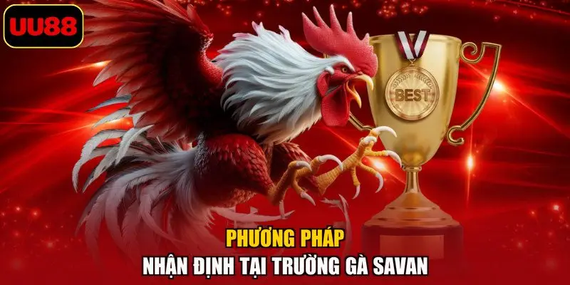 Phương pháp nhận định tại trường gà Savan